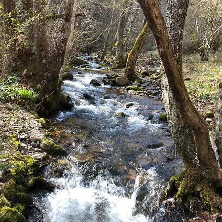 Chez Toon, Bar Deco 3*