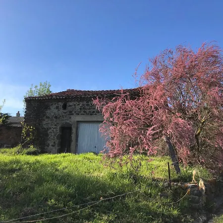 Bed & Breakfast Chez Toon, Bar Deco Blesle