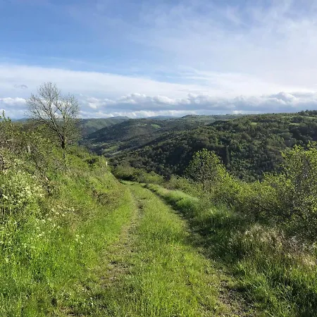 Bed & Breakfast Chez Toon, Bar Deco
