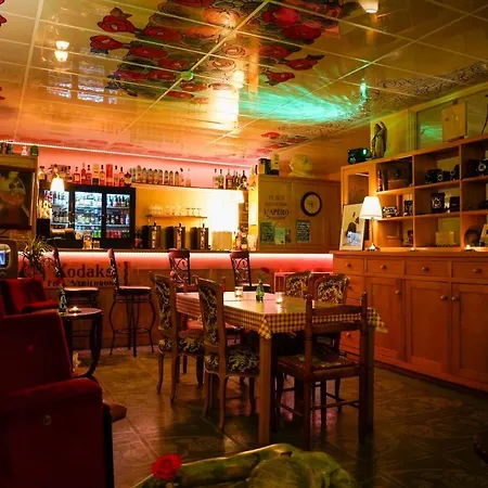 Bed & Breakfast Chez Toon, Bar Deco Blesle