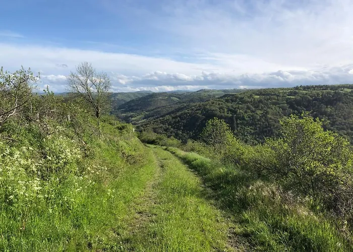 Bed & Breakfast Chez Toon, Bar Deco